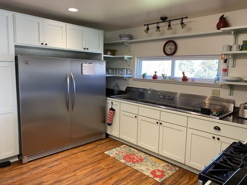 Kitchen / Commercial Refrigerator and Sink