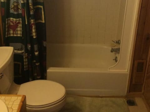 Combined shower/tub, towels