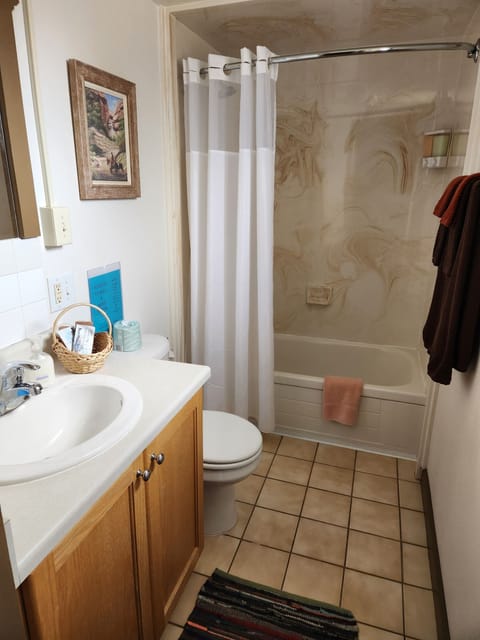 Combined shower/tub, hair dryer, towels