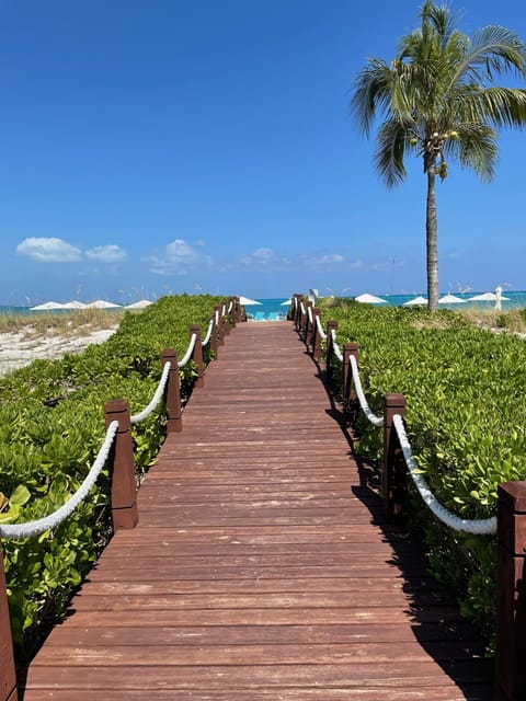 On the beach, sun loungers, beach towels