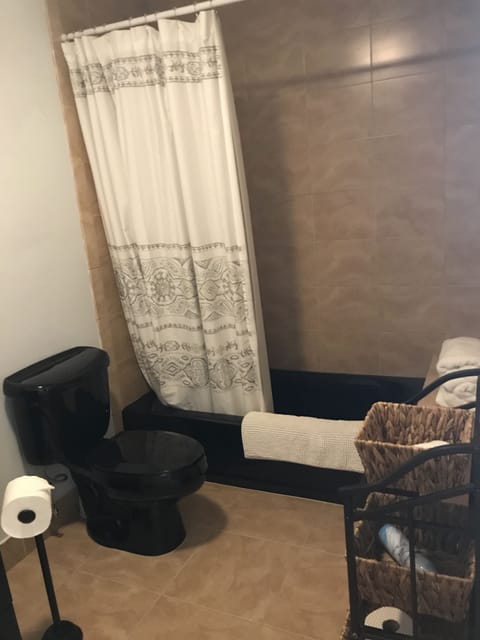 Combined shower/tub, hair dryer, towels, soap