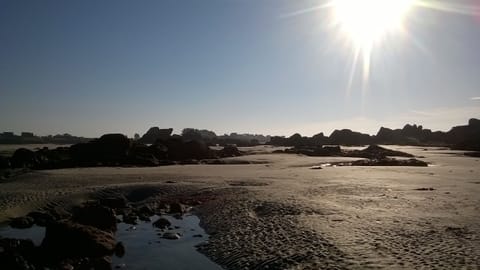 On the beach