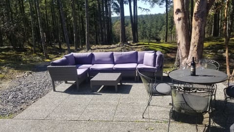 Walk out of the living room onto the patio.