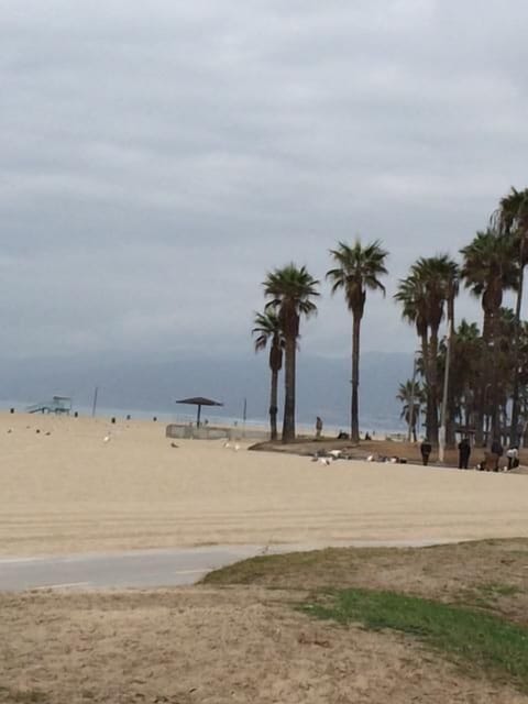 steps to this beach