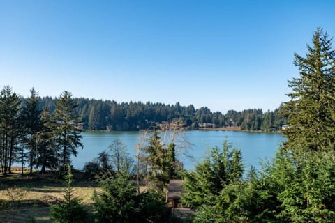 Drone View Above Home