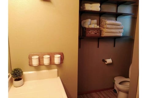 Combined shower/tub, hair dryer, towels, shampoo