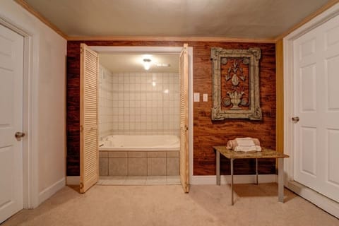 Combined shower/tub, jetted tub, hair dryer, towels