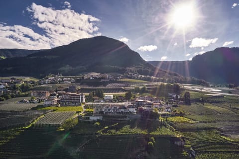 Vogelperspektive auf das Guesthouse