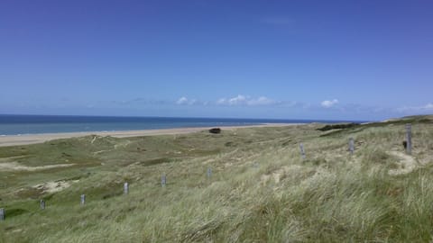 On the beach, sun loungers