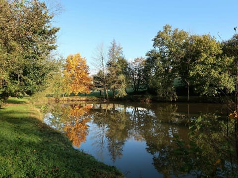 Water, Sky, Plant, Plant Community, Natural Landscape, Tree, Lake, Riparian Zone