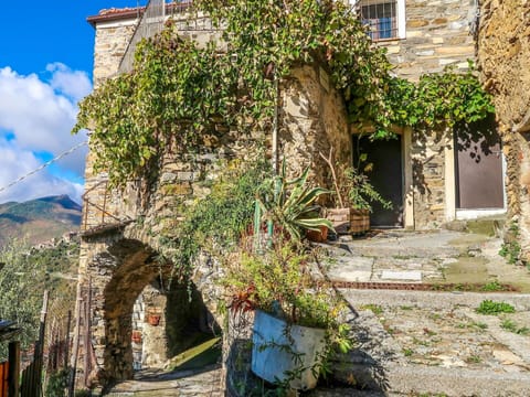 Plant, Building, Sky, Window, Blue, Azure, Vegetation, Cottage, Cloud, House
