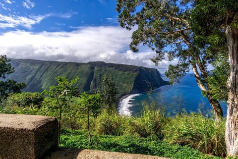 This 39-unit complex offers peace, privacy, and tranquility while being just south of Kona Town.