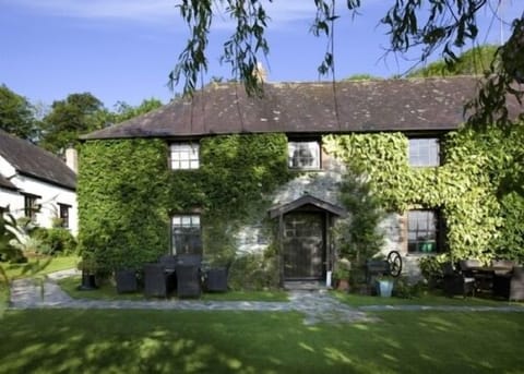 Bramble stepping out onto the front lawns