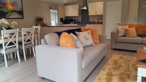 OPen Plan Living Kitchen