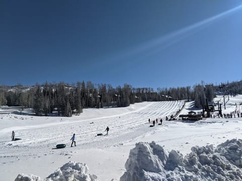 Snow and ski sports