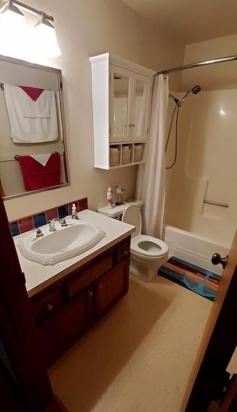 Combined shower/tub, hair dryer, towels, soap