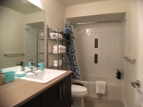 Combined shower/tub, hair dryer, towels, soap