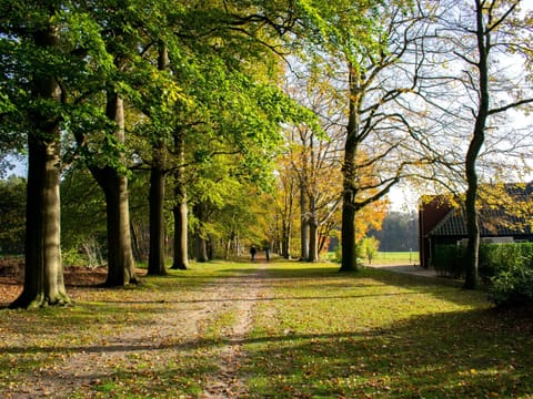 Immediate Surroundings [summer] (<1 km)