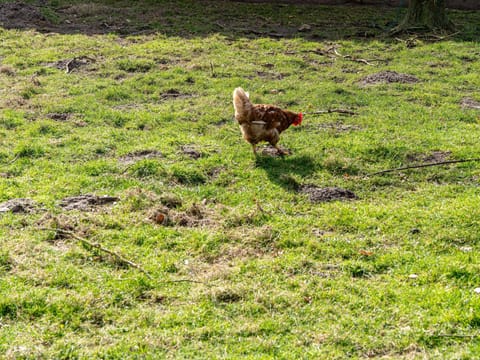 Immediate Surroundings [summer] (<1 km)