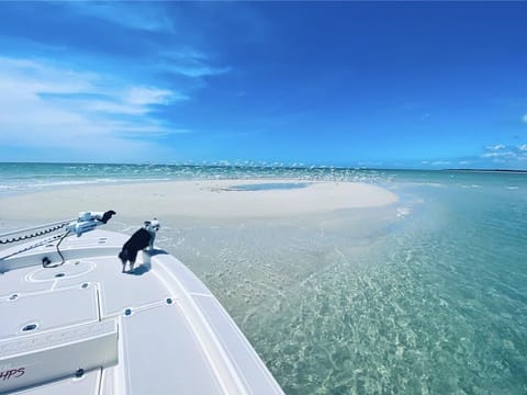 Sun loungers, beach towels