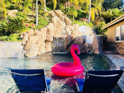 Relax in our Baja chairs, hop on a flamingo and enjoy slide/waterfall views.