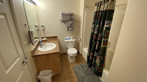 Combined shower/tub, hair dryer, towels, toilet paper