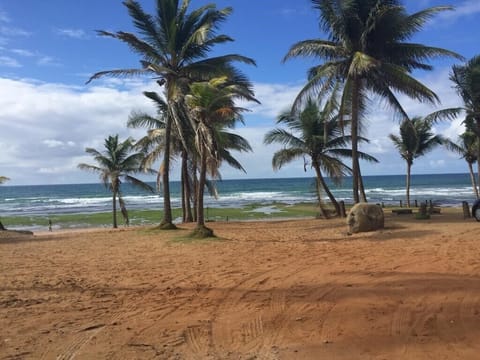 On the beach