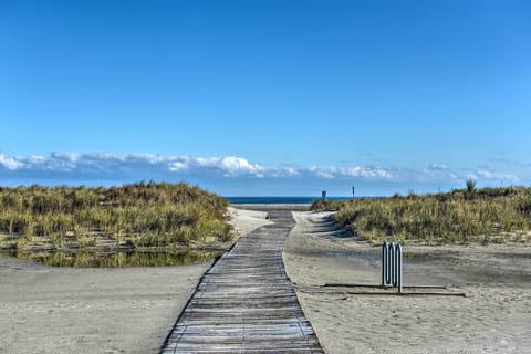 Beach | On the beach