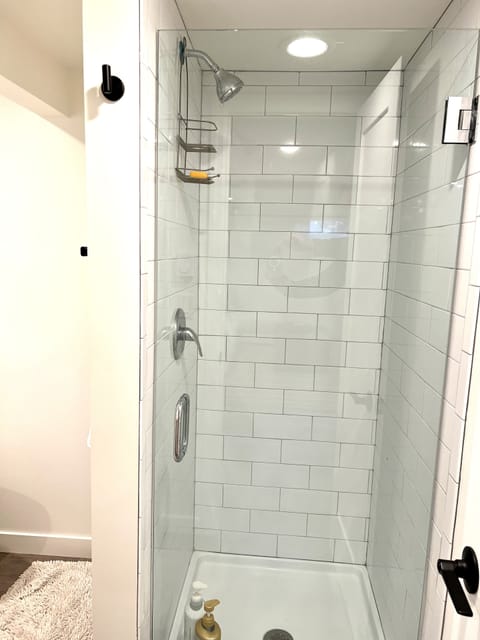 Combined shower/tub, hair dryer, towels, soap