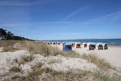 On the beach