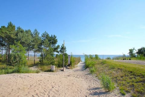 On the beach