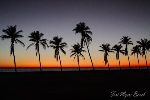 Beach nearby, sun loungers, beach towels