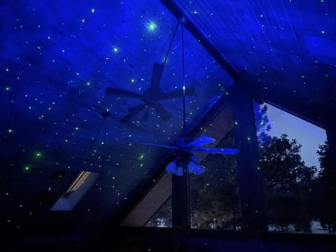 Stars Outside And In