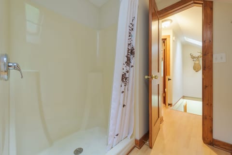 Combined shower/tub, hair dryer, towels