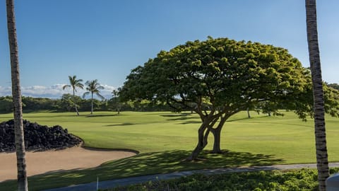 15th Hole of Hualalai Golf Course