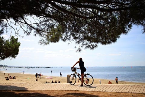 On the beach, sun loungers