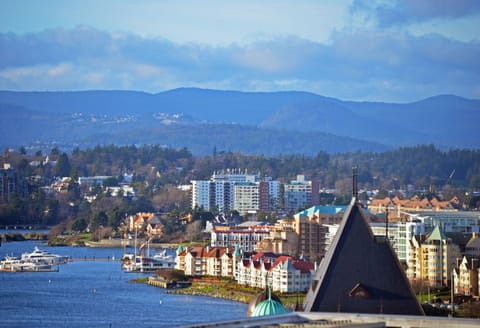 View of Inner Harbour 