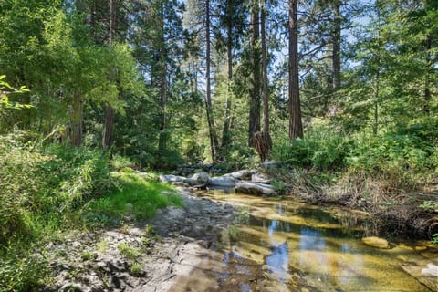 Direct access to the creek!