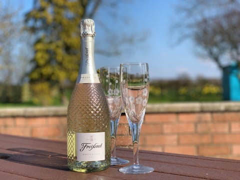 Garden | The Bungalow, Aikton, near Carlisle