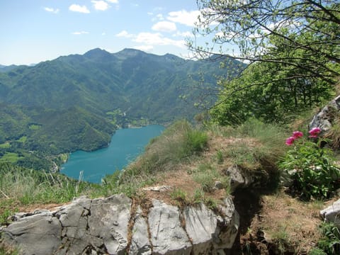 Town/city in general