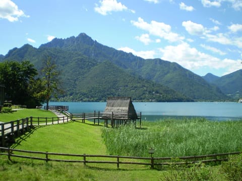 Town/city in general