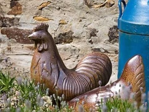 Chickens with the milk churn