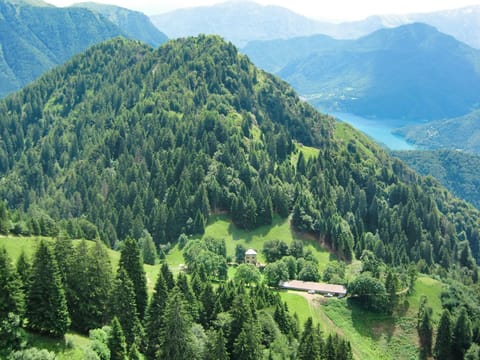 Town/city in general