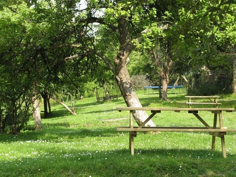 Orchard from Swallow cottage