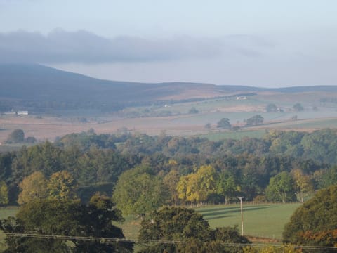 view from the garden