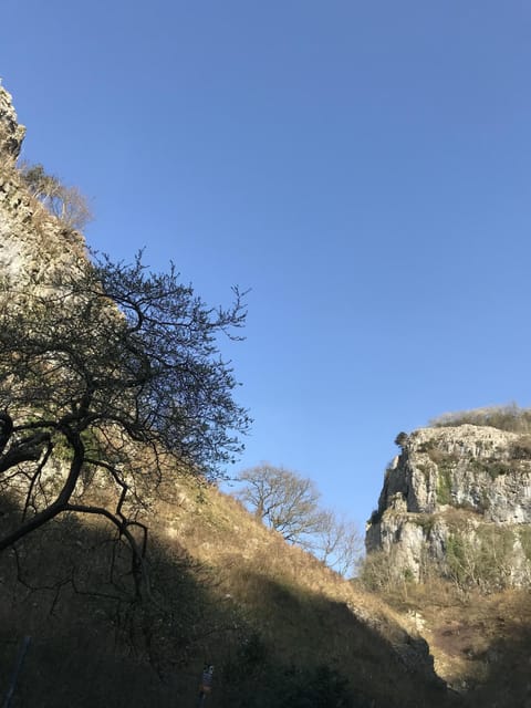 Cheddar Gorge (8 miles).