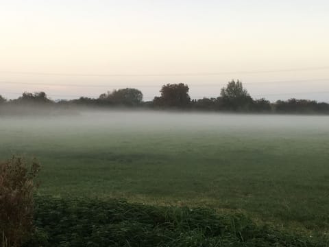 A misty morning in at Double-Gate Farm.