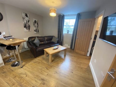 Studio apartment living area