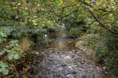 View down river from Priest Bridge