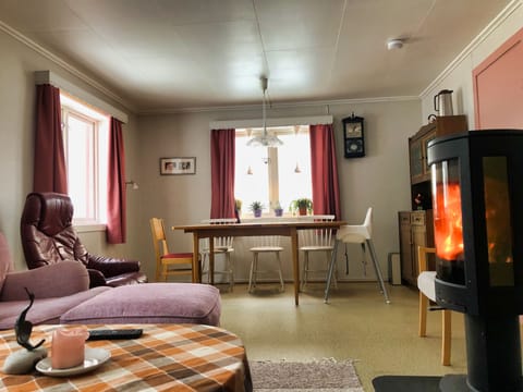 TV, fireplace, books